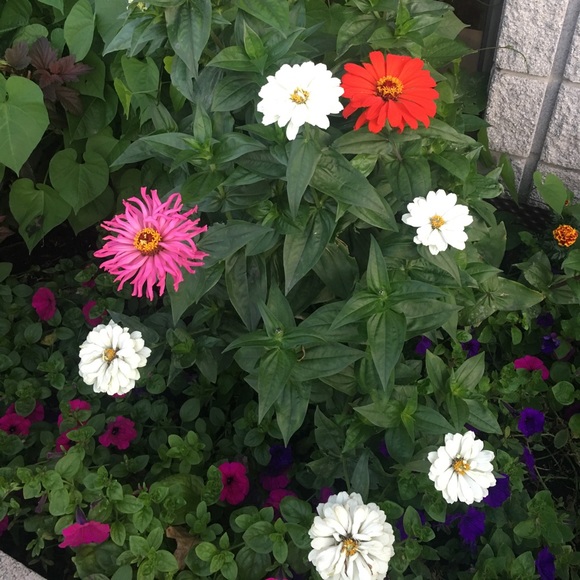 Meet your Posher, Maddi - Picture 1 of 1